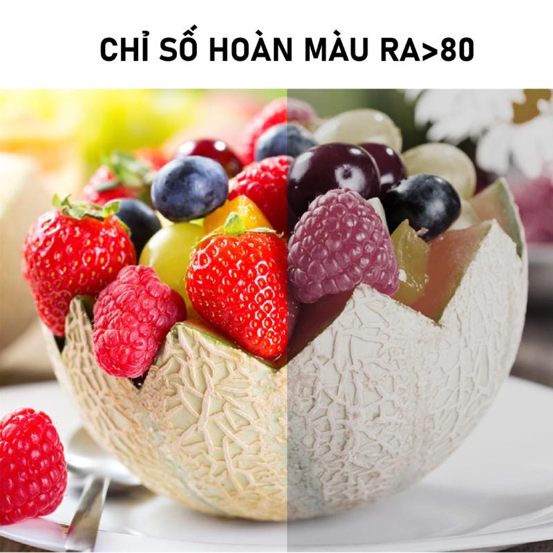 Đèn Downlight Âm Trần Philips ERIDANI – Thế Hệ Mới, Giá Hợp Lý, Chất Lượng Chuẩn Philips